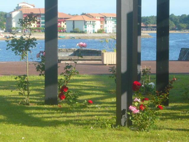 Appartements A Cote Lac Marin De Port D'Albret Вьё-Боко-ле-Бен Номер фото